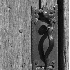 Snake Door Handle-crop - ID: 1406557 © Patricia H Daley