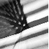 Grand Old Flag Zoom, - ID: 2322033 © Patricia H Daley