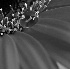 Dewdrop on Gerbera Daisy - ID: 4312002 © Patricia H Daley