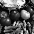 - ID: 5120788 © Patricia H Daley