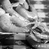 Fresh Shrimp - ID: 6304760 © Patricia H Daley