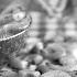 Fresh Shrimp-Blur Shot - ID: 6304761 © Patricia H Daley