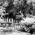Laurel Grove Cemetery Scene - ID: 10595524 © Patricia H Daley