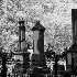 Magnolia Cemetery-Duotone - ID: 10672769 © Patricia H Daley