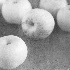 Apples - ID: 11302839 © Patricia H Daley