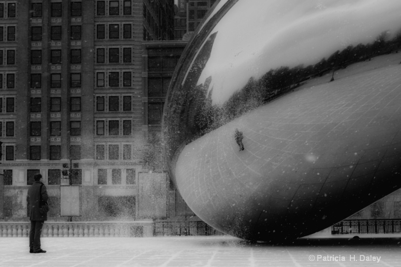 Cloud Gate-Millennium Park - ID: 11379475 © Patricia H Daley