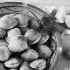 Fresh Clams - ID: 11379476 © Patricia H Daley