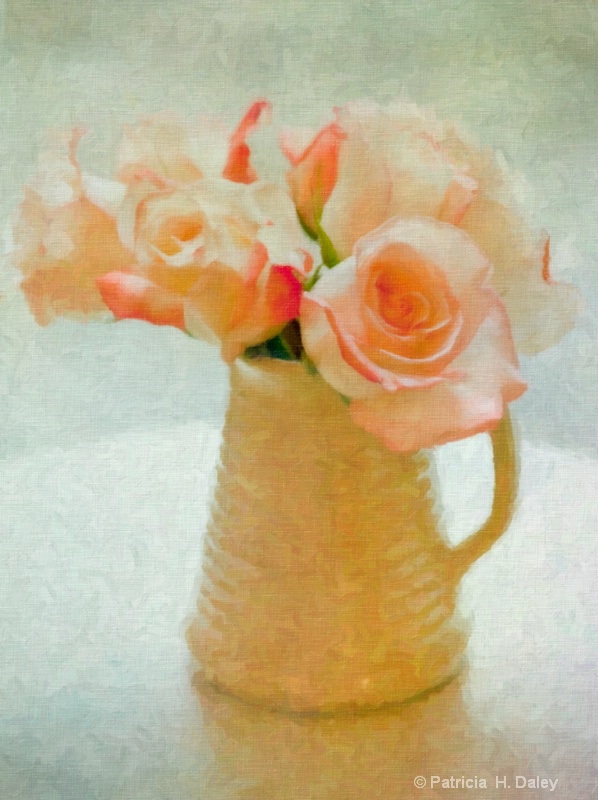 Roses - ID: 11379477 © Patricia H Daley