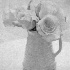 Roses - ID: 11379477 © Patricia H Daley